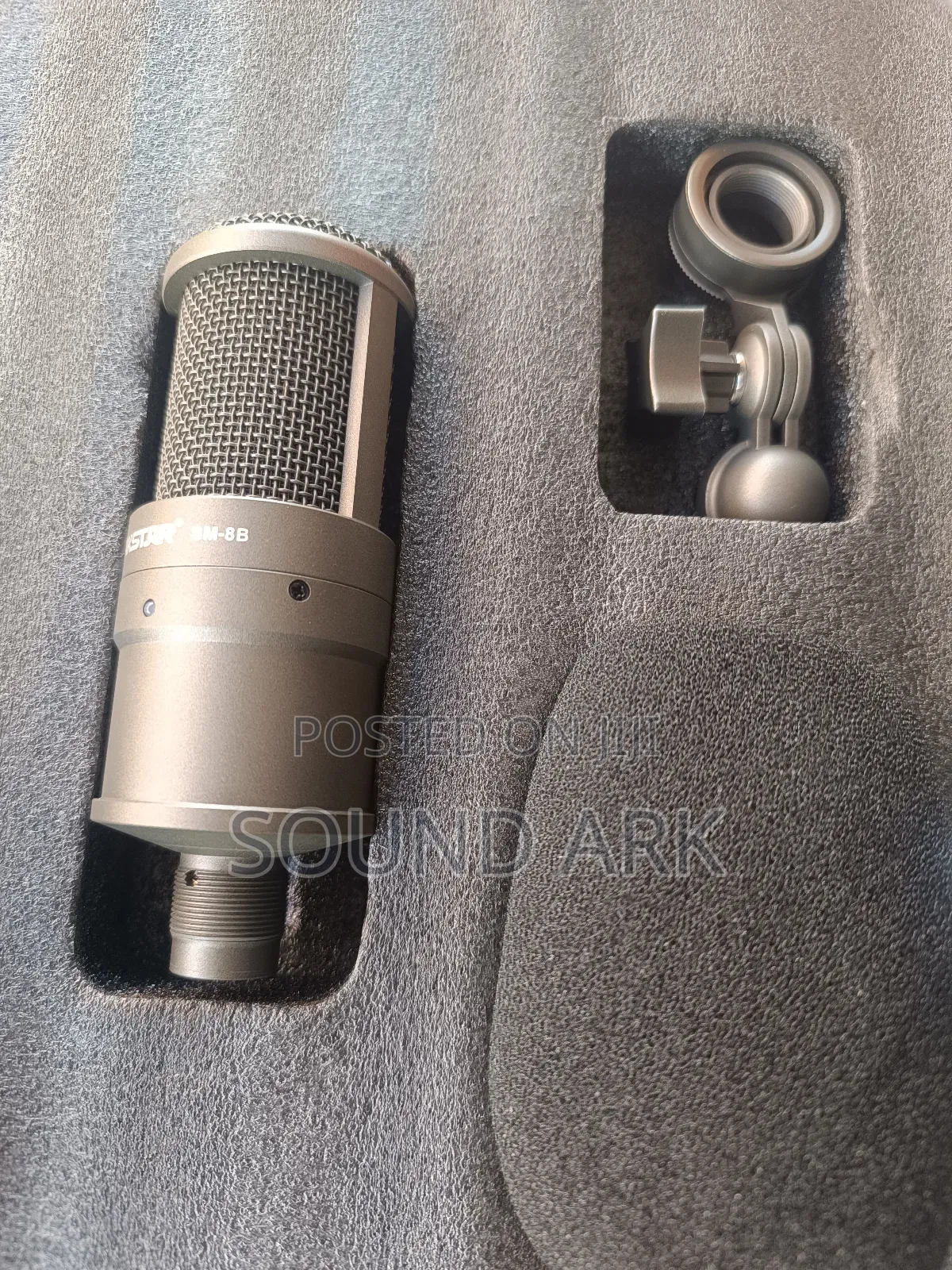 Takstar Studio Microphone