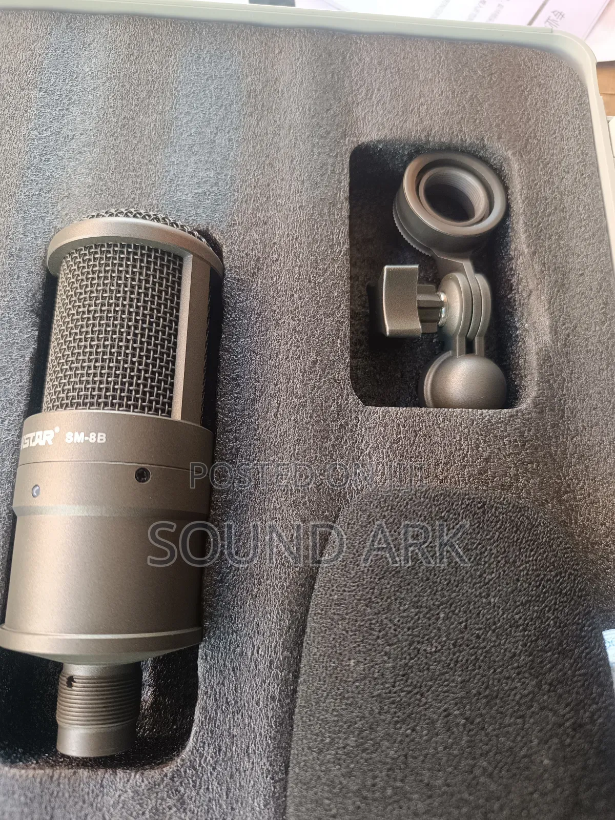 Takstar Studio Microphone