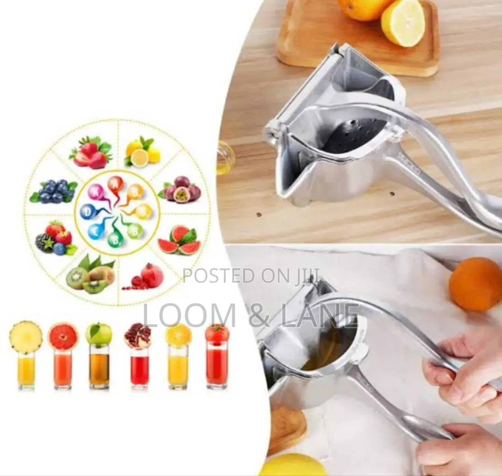 Large Size Manual Fruit Press