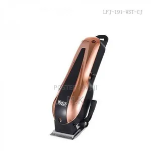 Winning Star Dc 12v Hair Clipper (Model St-5601).
