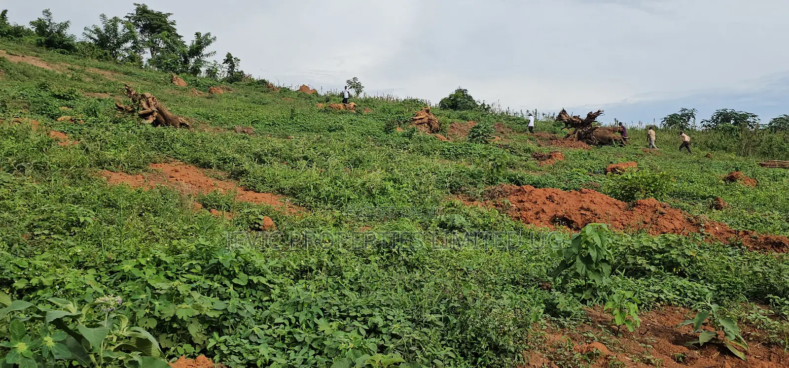 Titled Plots for Sale at Wakiso - Namayumba