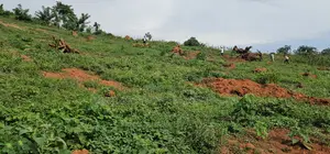 Titled Plots for Sale at Wakiso - Namayumba