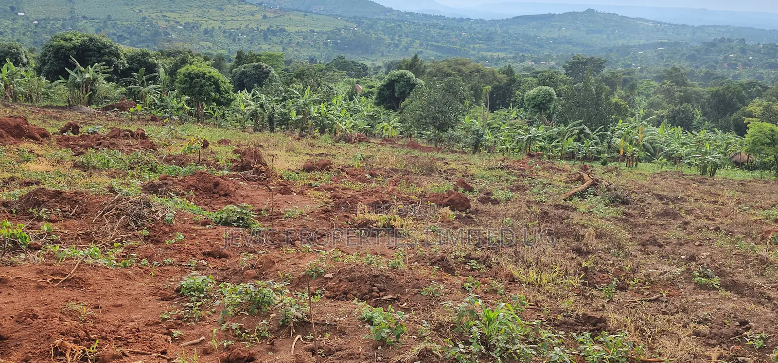 Titled Plots for Sale at Wakiso - Namayumba