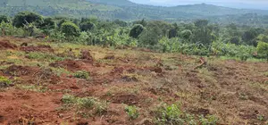 Titled Plots for Sale at Wakiso - Namayumba