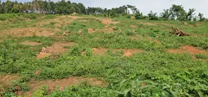 Titled Plots for Sale at Wakiso - Namayumba