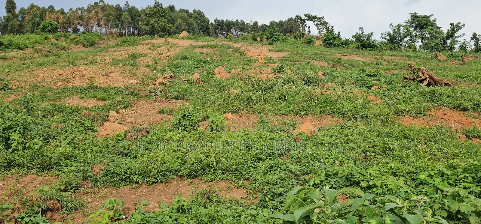 Titled Plots for Sale at Wakiso - Namayumba