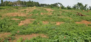 Titled Plots for Sale at Wakiso - Namayumba