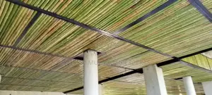 Bamboo Modern Ceiling