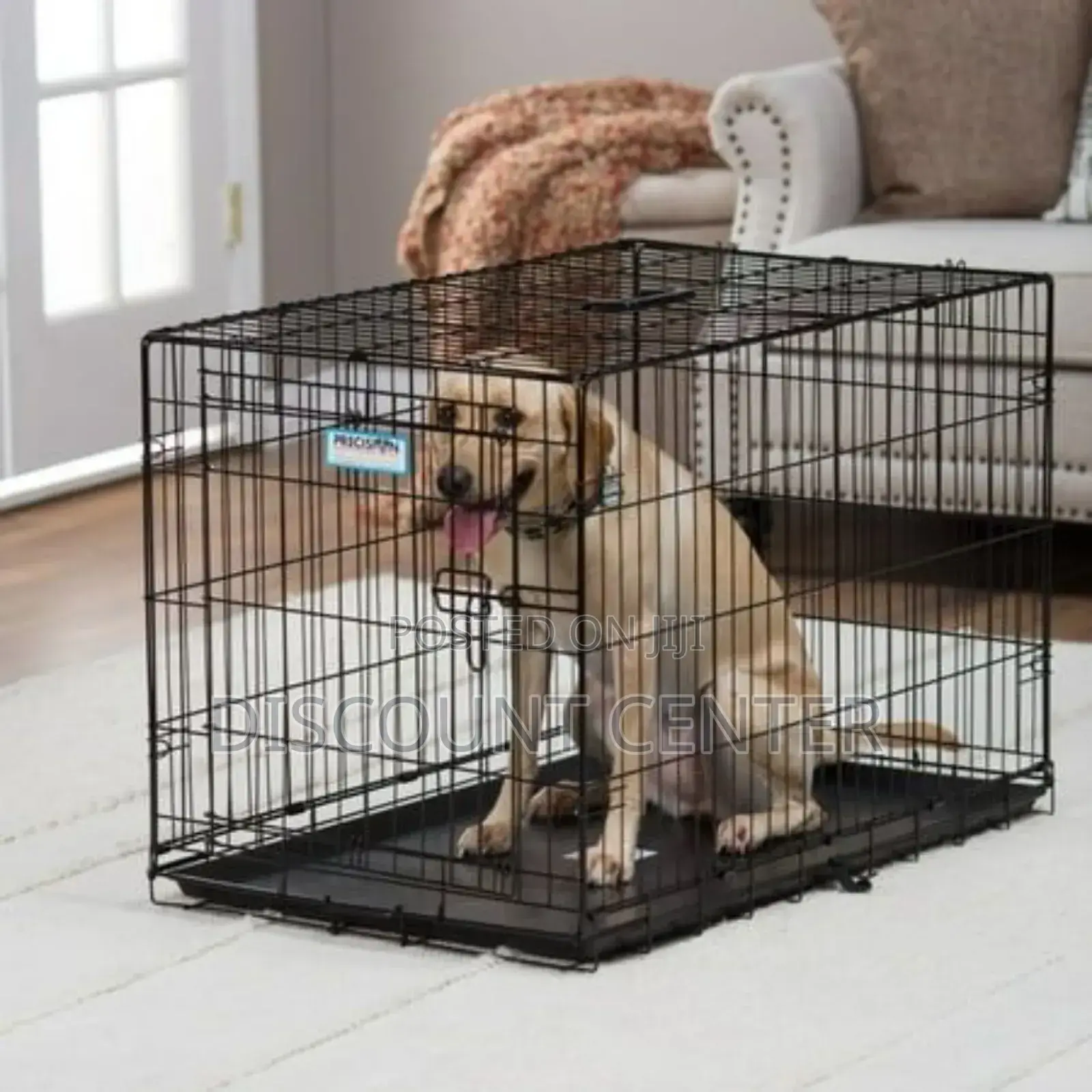 Puppy and Dog Cage