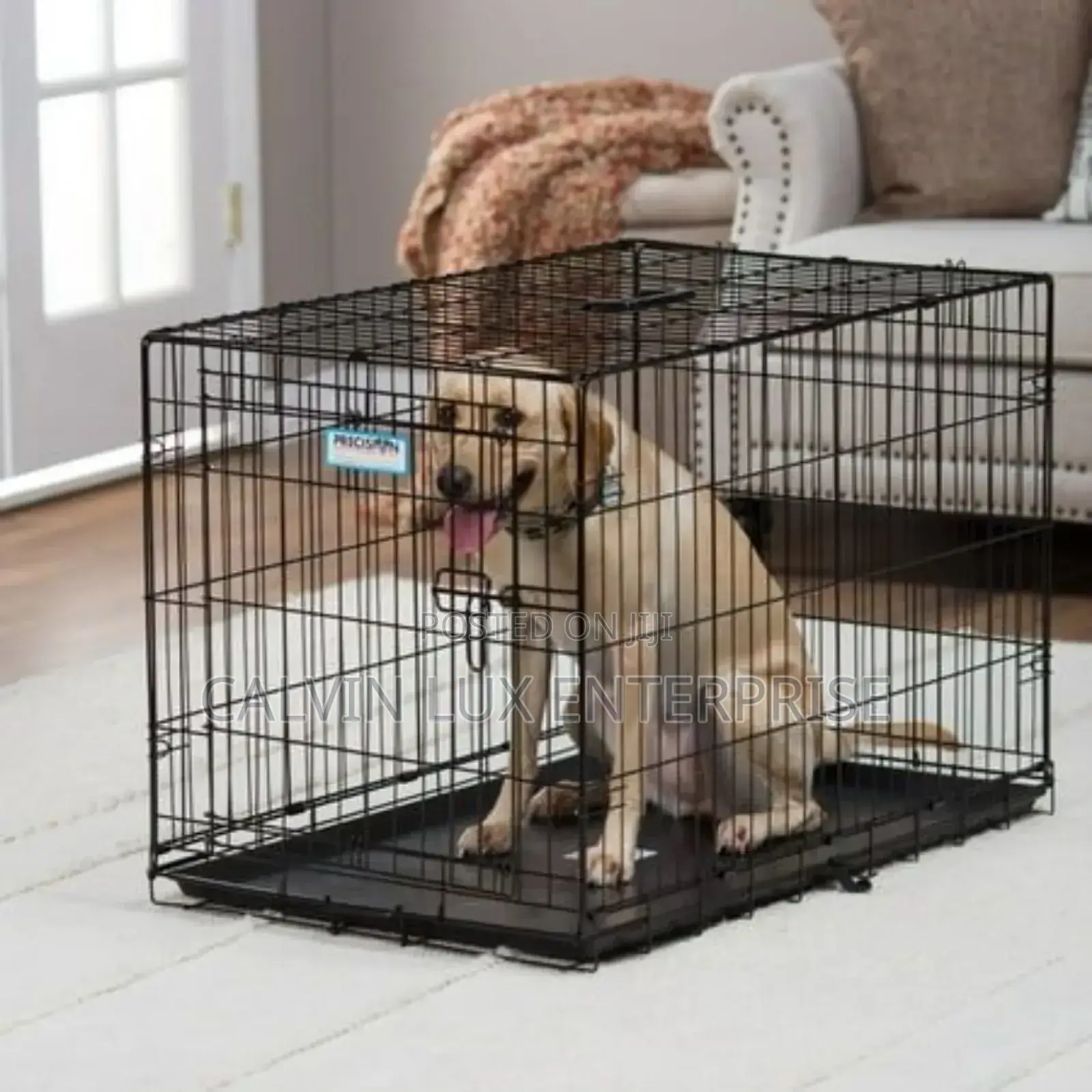 Puppy and Dog Cage