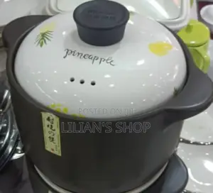 Ceramic Heat Resistant Pot 4.8l