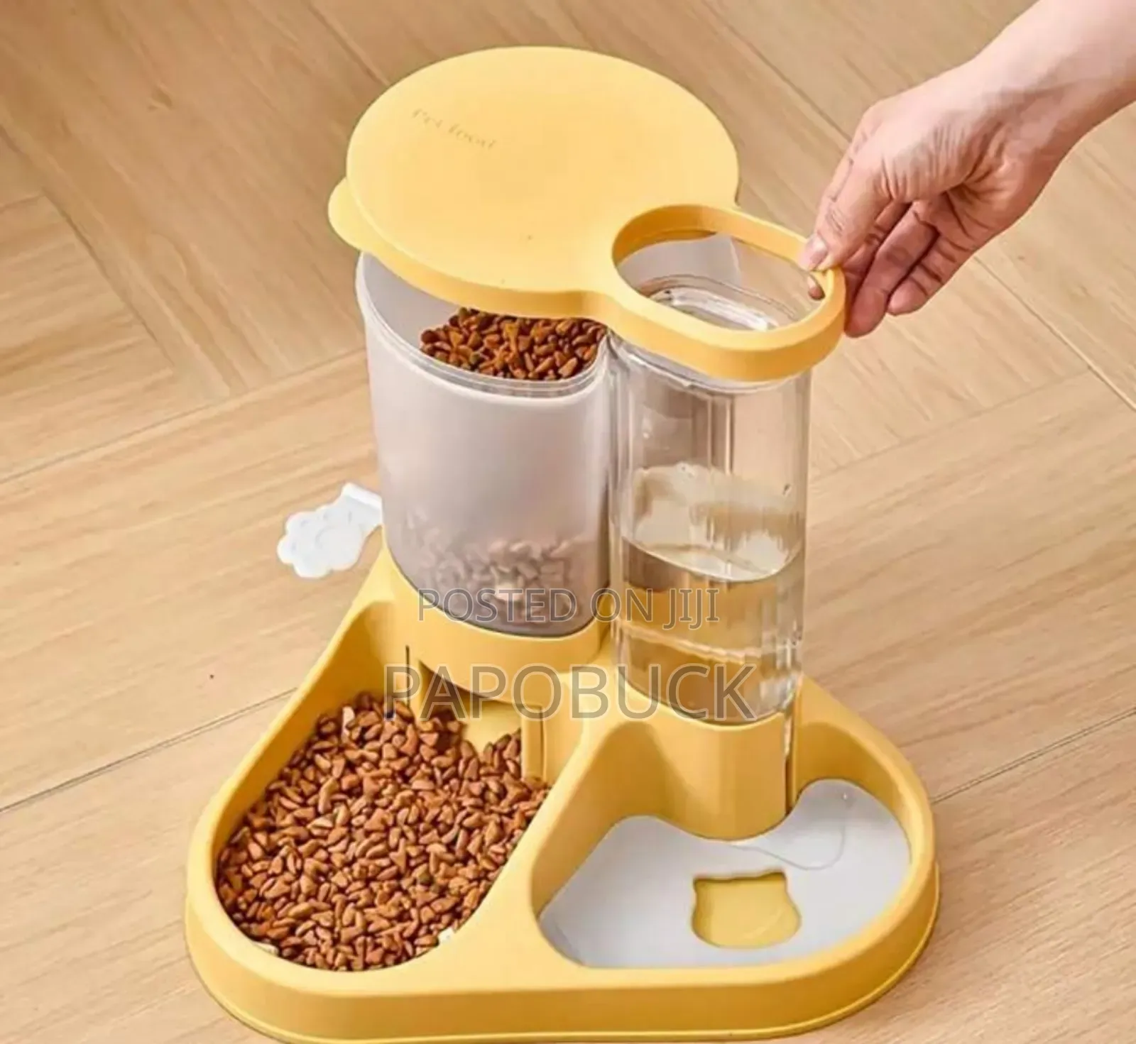 2 in 1 Automatic Pet Feeder