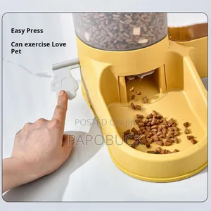 2 in 1 Automatic Pet Feeder