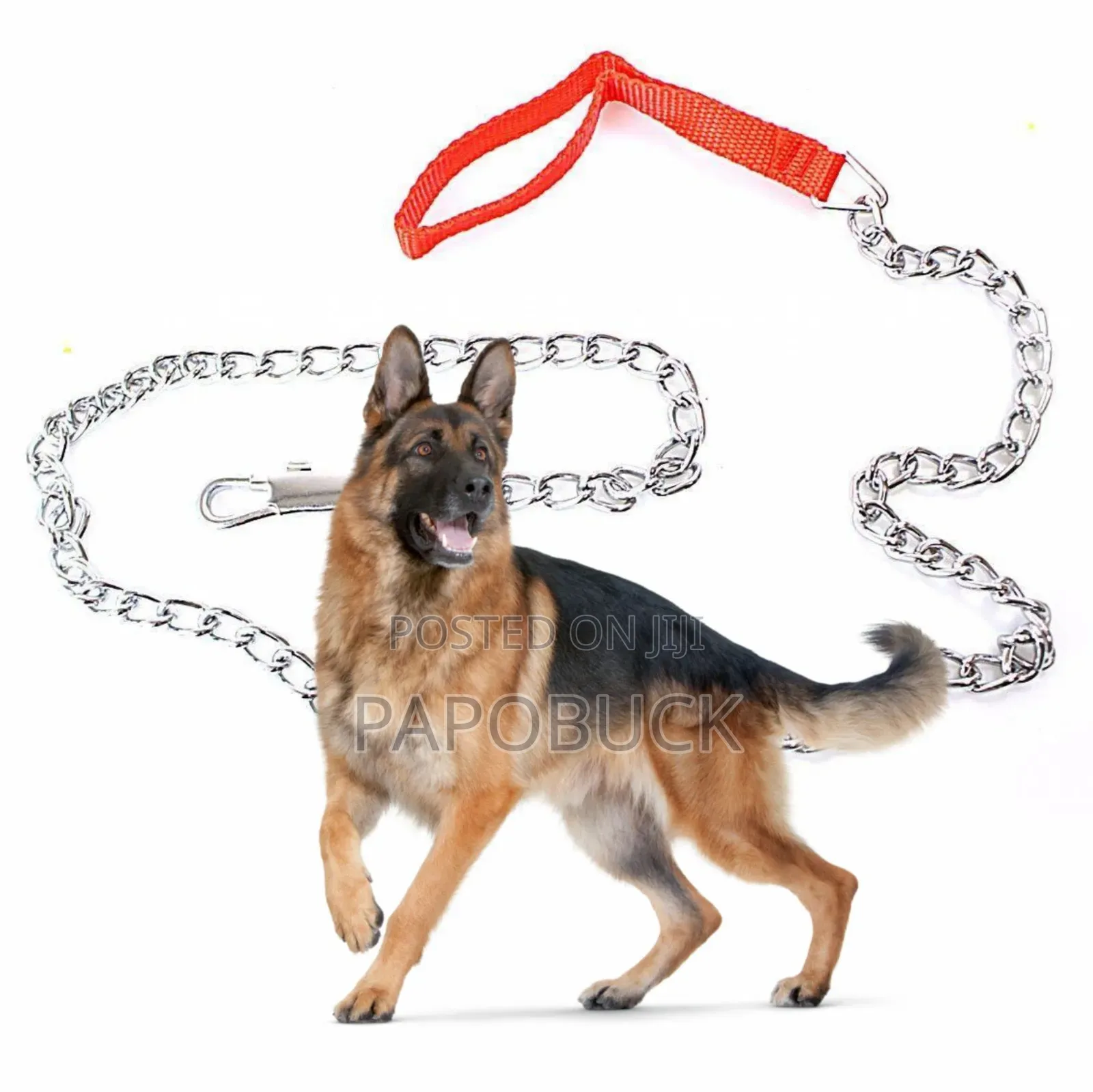 Small Dog Chain