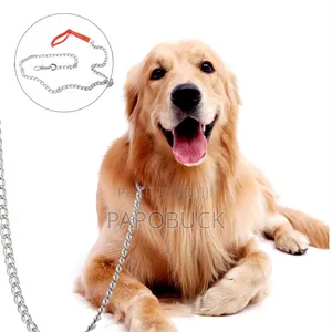 Small Dog Chain