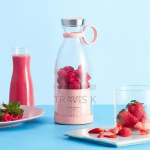 Mini Juicer