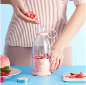 Mini Juicer