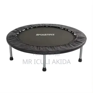 Indoor/Outdoor Children Spring Fitness Trampoline
