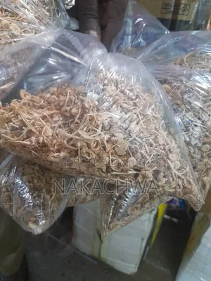 These Are Mushroom Dry Leaves