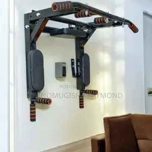 Wall Mount Pullup/Chin-up Machine