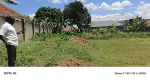 Plot for Sale in Kungu