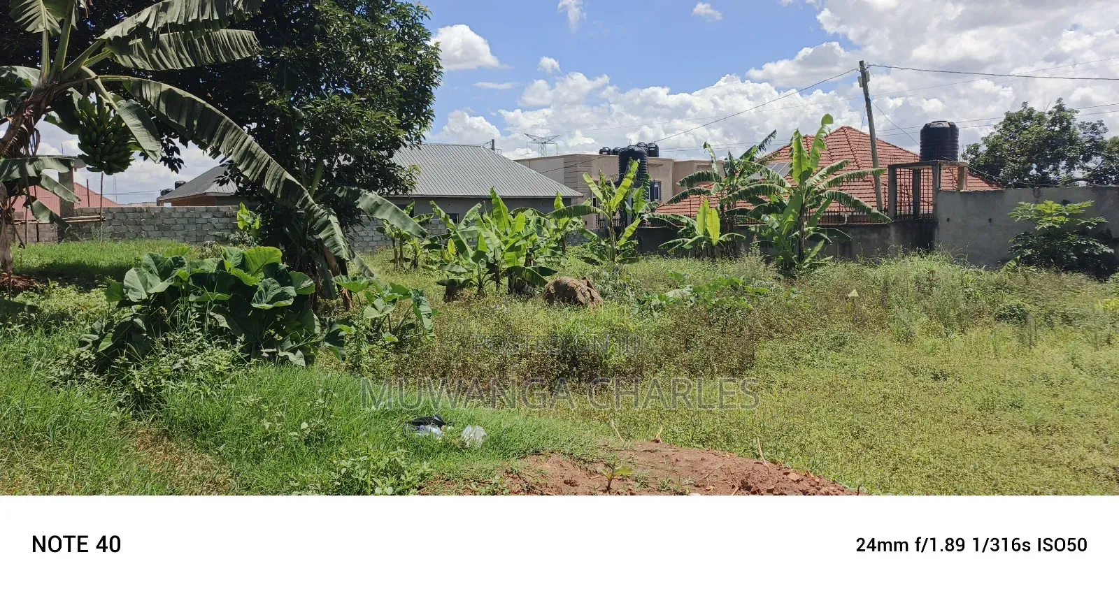 Plot for Sale in Kungu