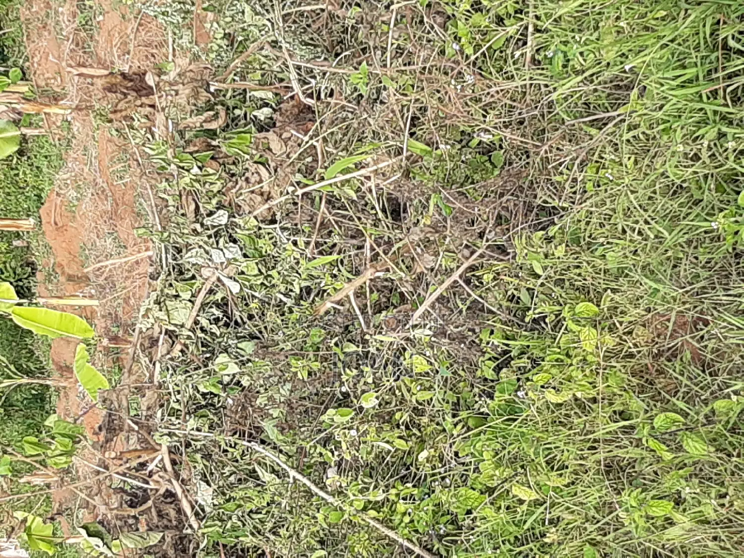 Acre of Land at 160m in Seguku -Kasenge on Entebbe Road