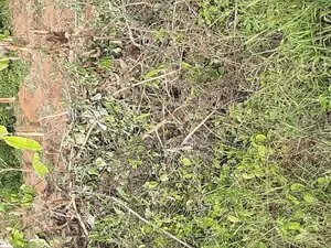 Acre of Land at 160m in Seguku -Kasenge on Entebbe Road