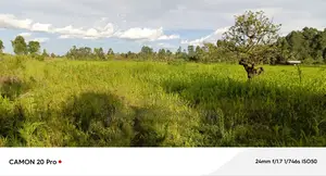 25 Acres of Land for Sale in Fort Portal.