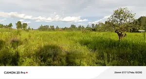 25 Acres of Land for Sale in Fort Portal.