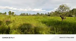 25 Acres of Land for Sale in Fort Portal.