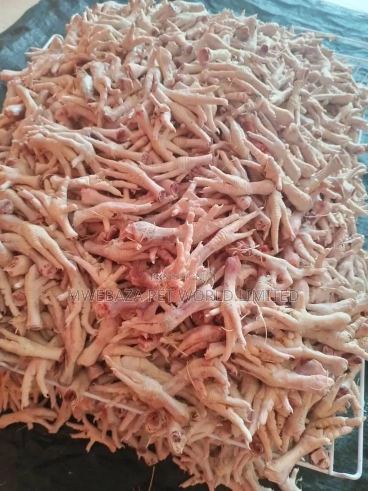 Food For Dogs