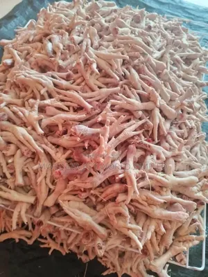 Food For Dogs