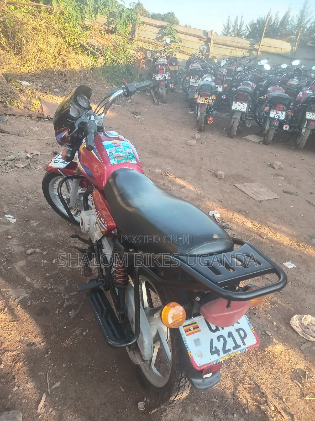 Bajaj CT 110X 2024 Red
