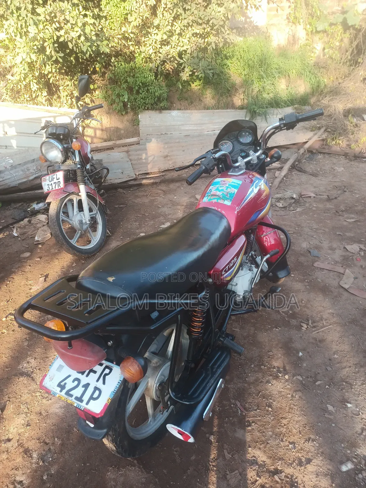 Bajaj CT 110X 2024 Red