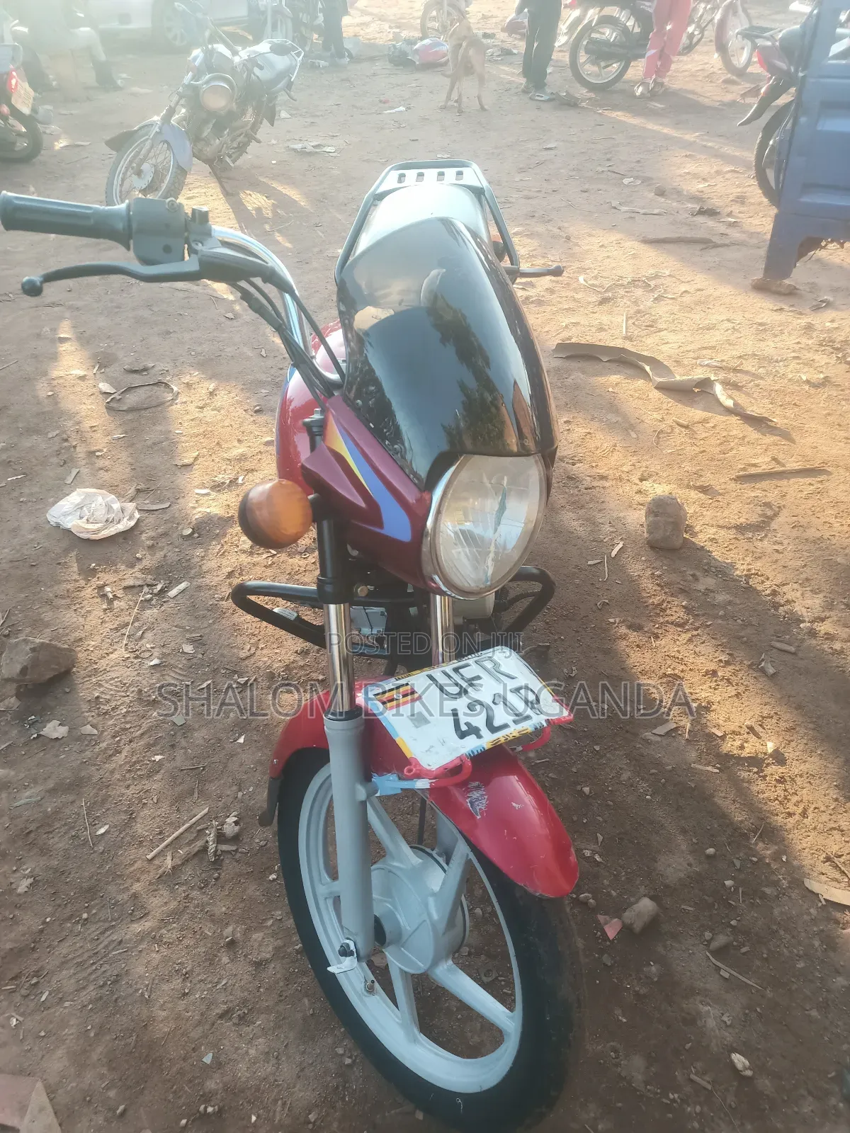 Bajaj CT 110X 2024 Red
