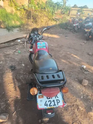 Bajaj CT 110X 2024 Red