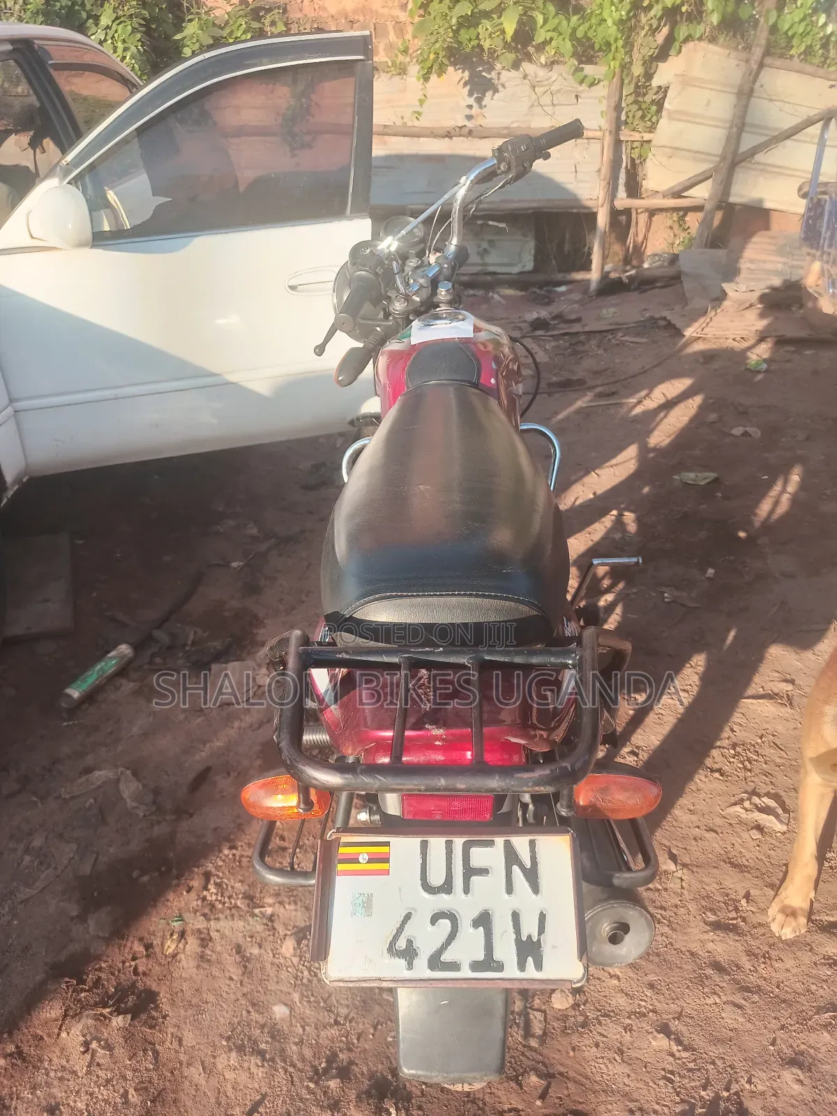 Bajaj CT 110X 2023 Red