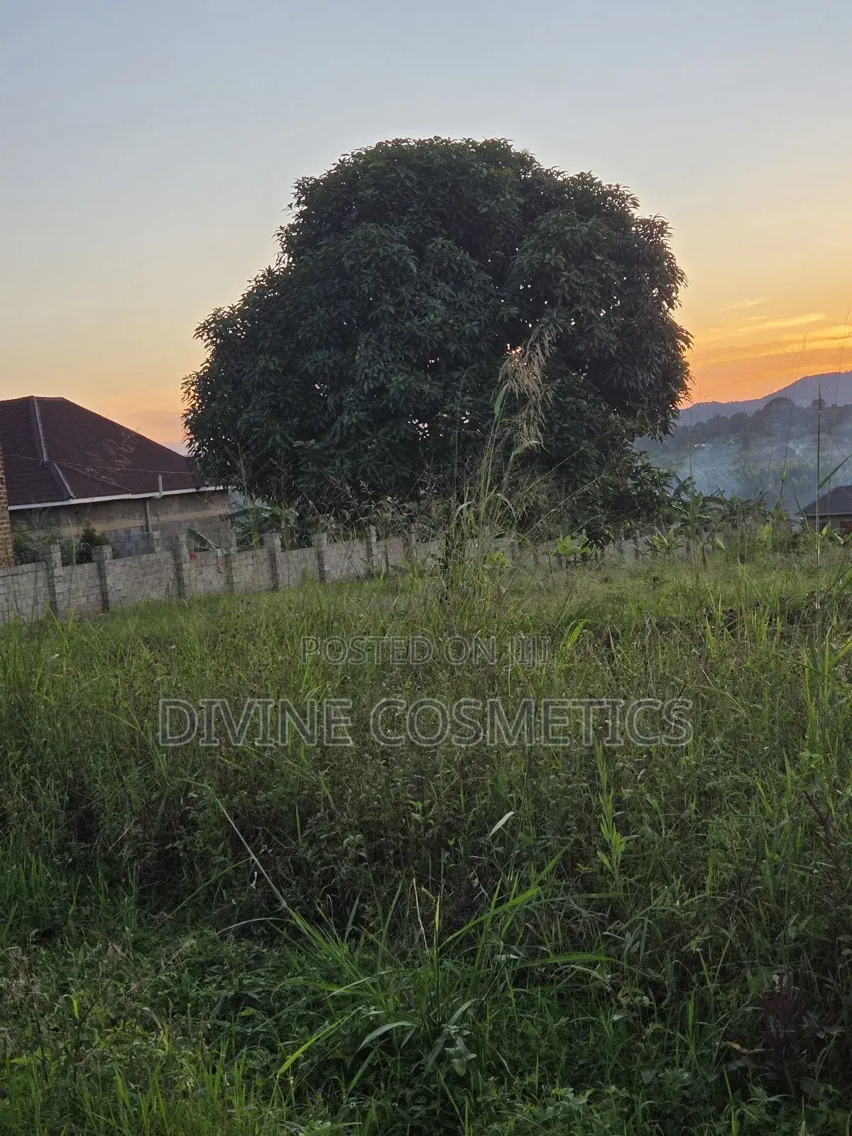 Land Title Kikandwa (50×100)Ft