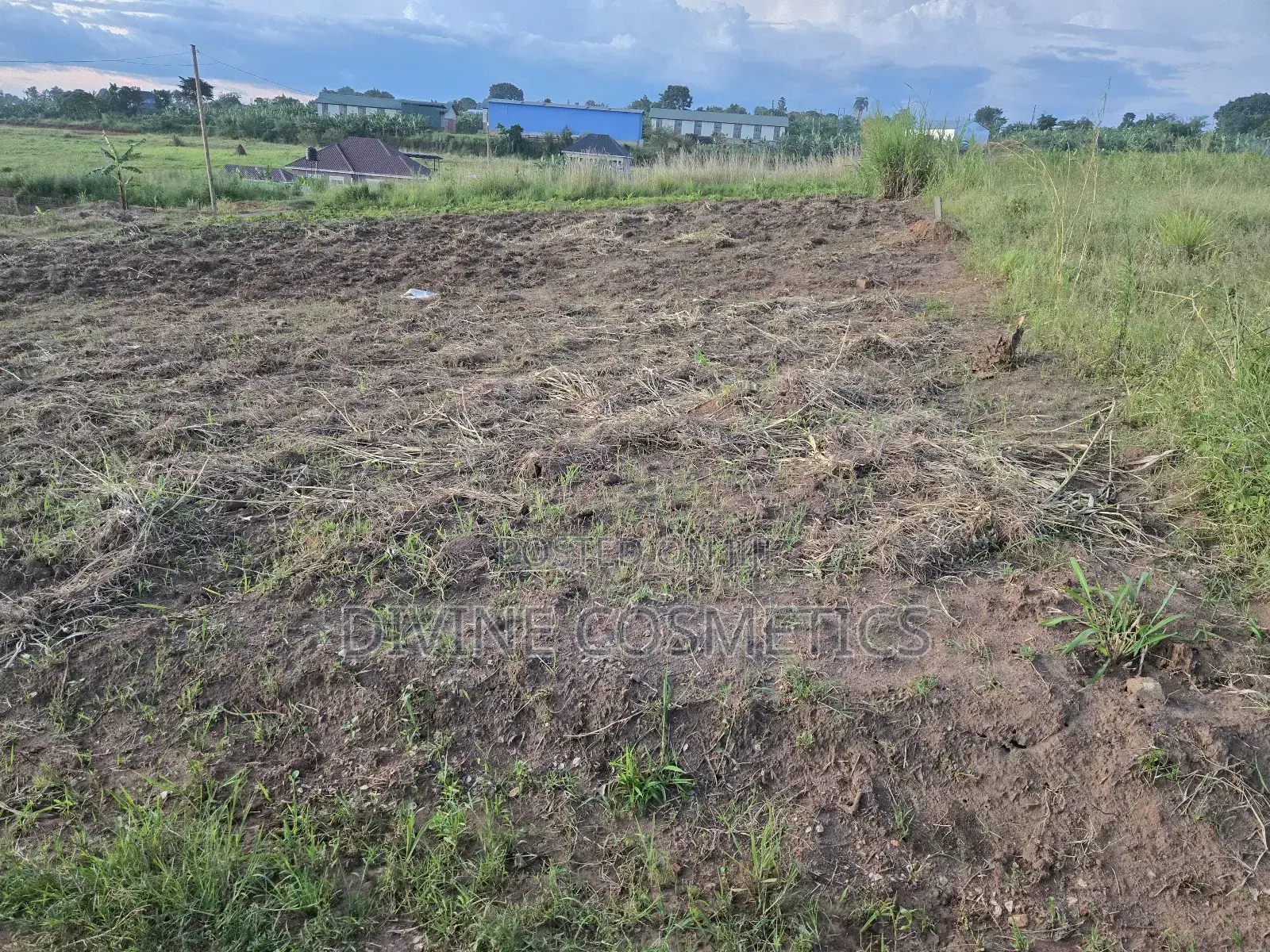 Land Title Kikandwa (50×100)Ft