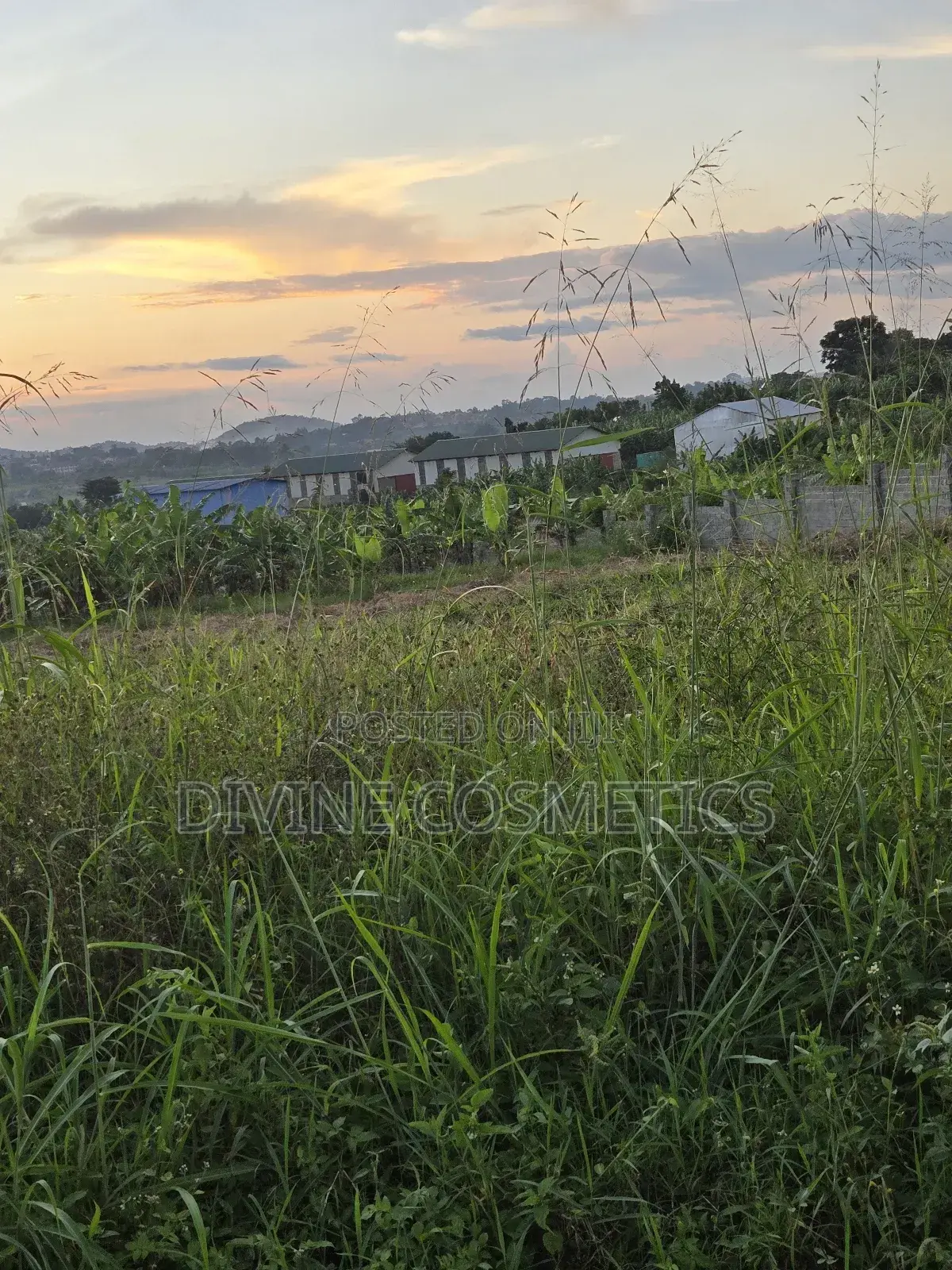 Land Title Kikandwa (50×100)Ft