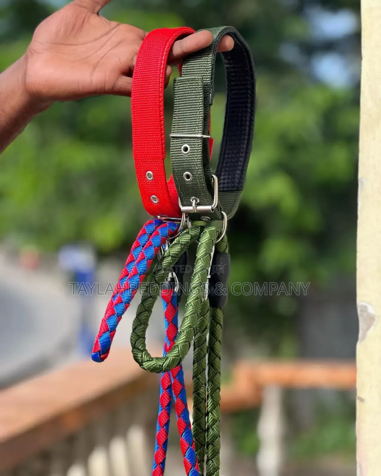 Nylon Dog Leash, Braided, Big Dog,