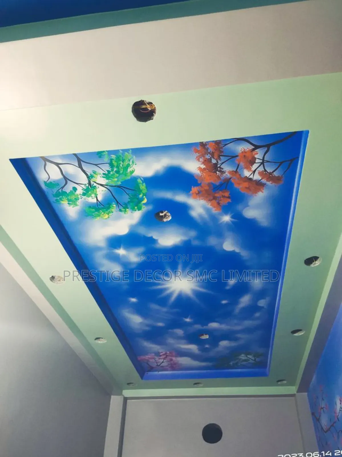 Art on Ceiling