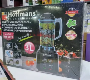 Hoffman Blender 3l