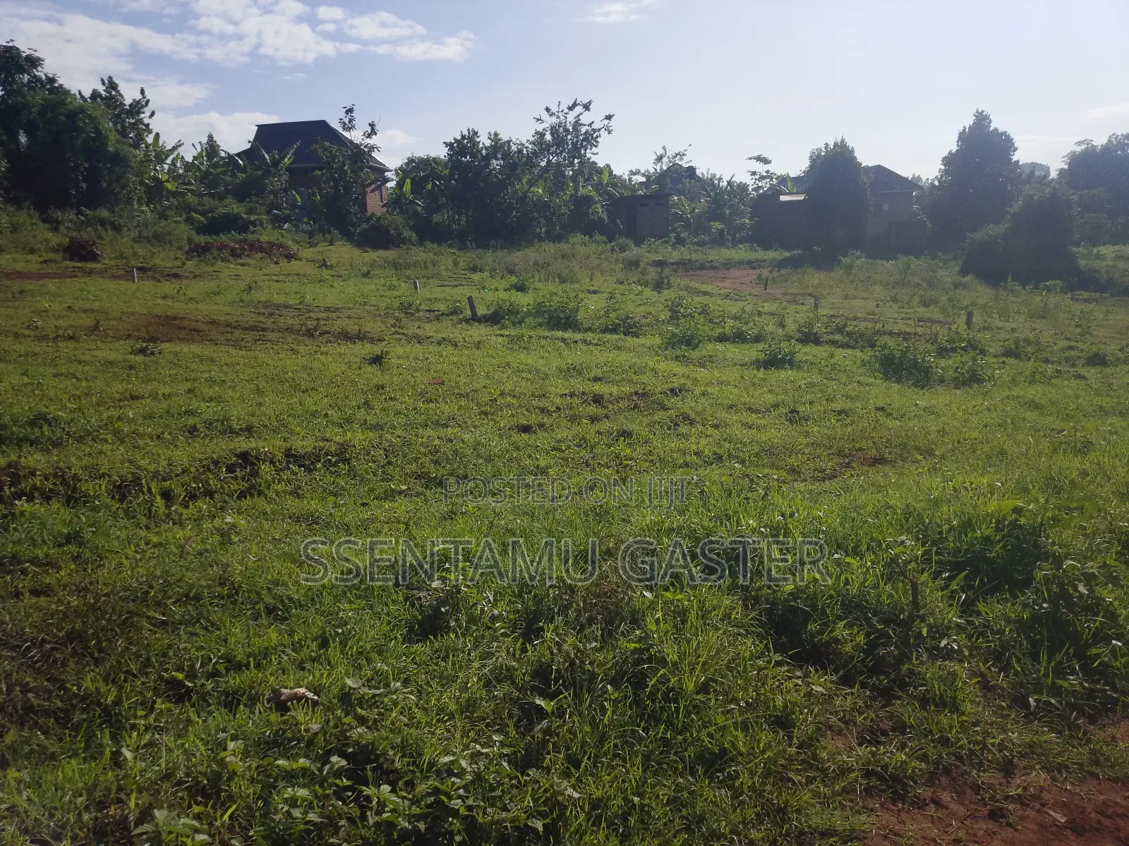 Plot for Sale