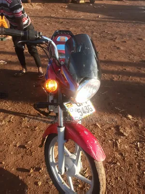 Bajaj CT 110X 2024 Red