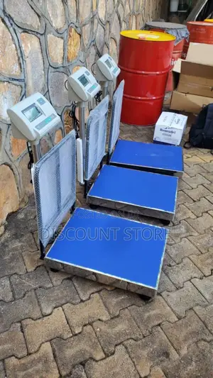 Electronic Floor Scale 500kg Floor Weighing Scale