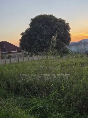 50*100 Title Land Kakiri Kikandwa