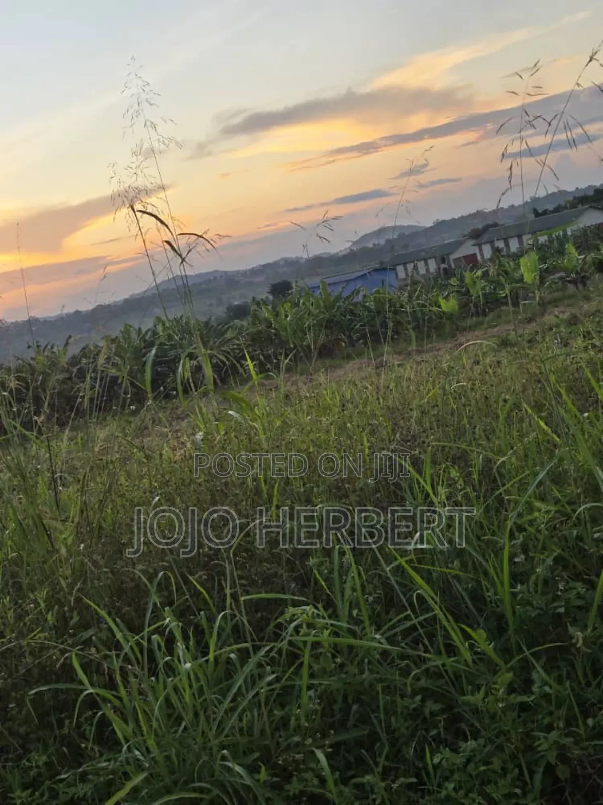 50*100 Title Land Kakiri Kikandwa