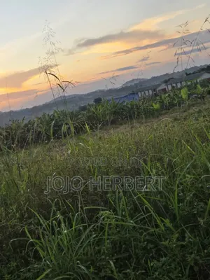 50*100 Title Land Kakiri Kikandwa